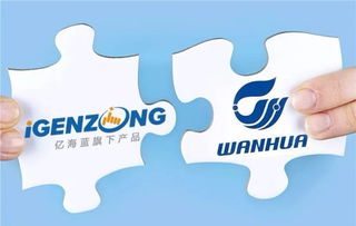 万华与亿海蓝联手打造可视化物流，开创数字供应链管理新篇章